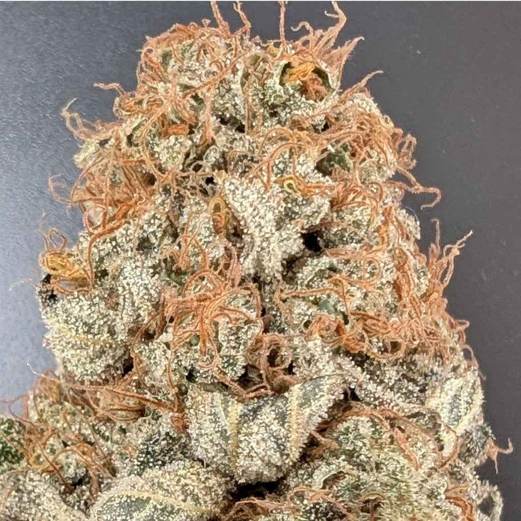 Angel Cake - Indoor La Réunion