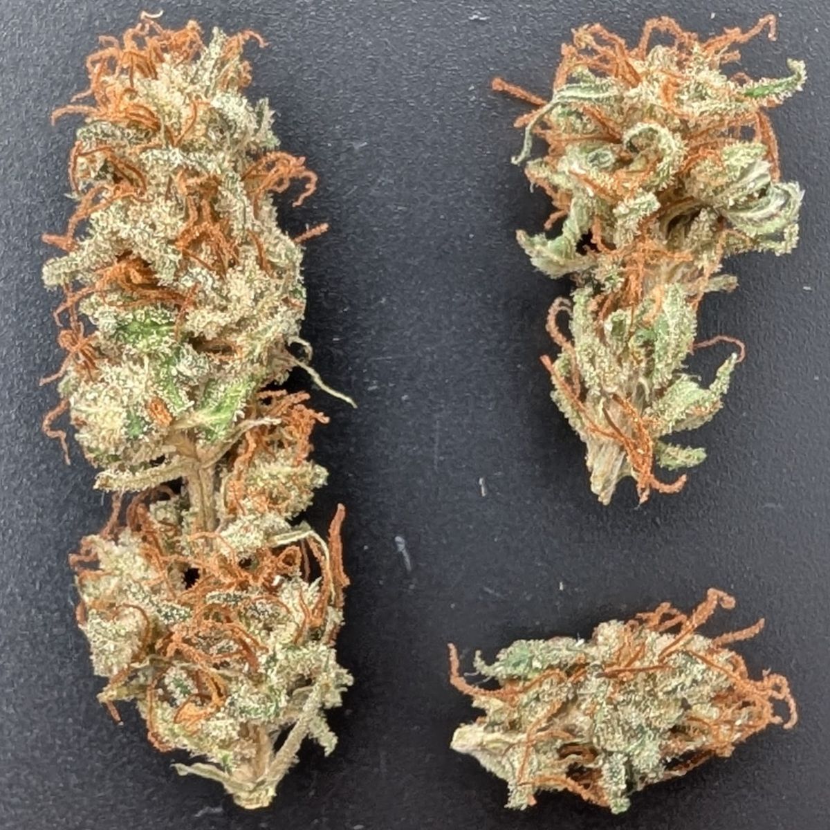 CBDV Péï - Small buds