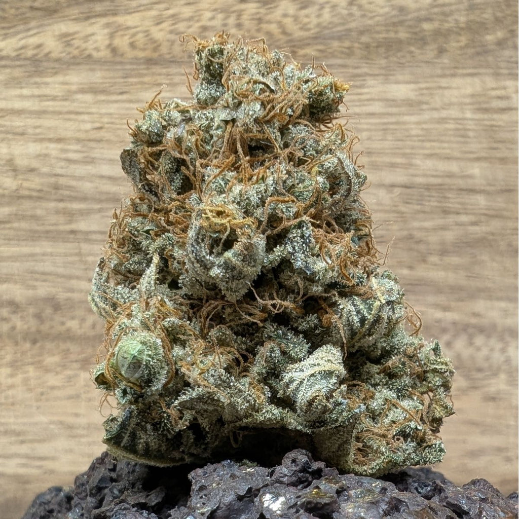 Angel Cake - Indoor La Réunion