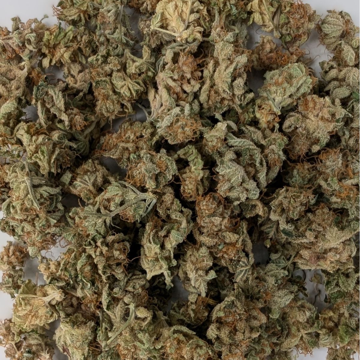 Angel Cake - Small buds