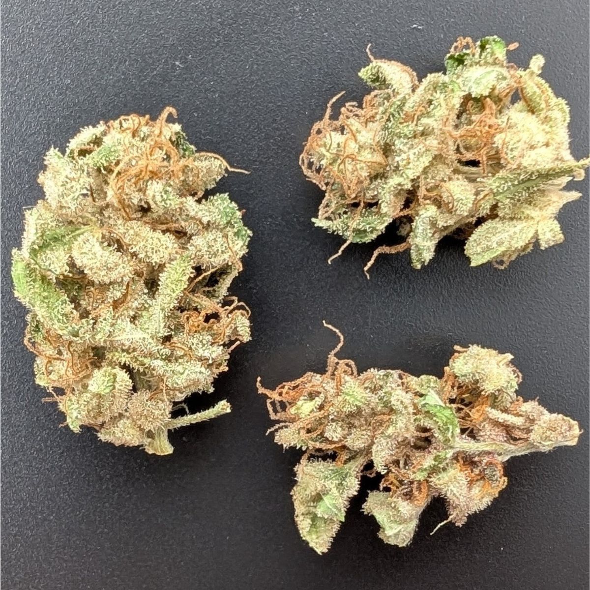 Angel Cake - Small buds